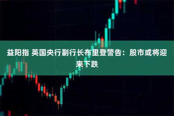 益阳指 英国央行副行长布里登警告：股市或将迎来下跌